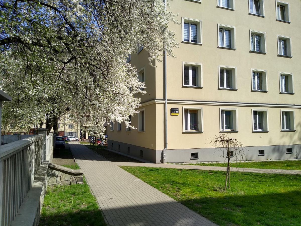 Apartment Bluebird Katowice Near Spodek Mck & City Center Eksteriør billede